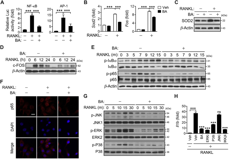 Figure 4