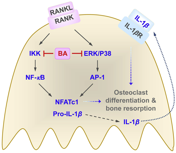 Figure 9