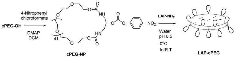 Scheme 3