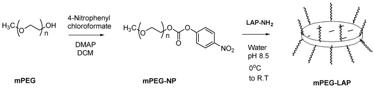 Scheme 4