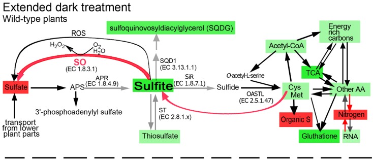 Figure 8