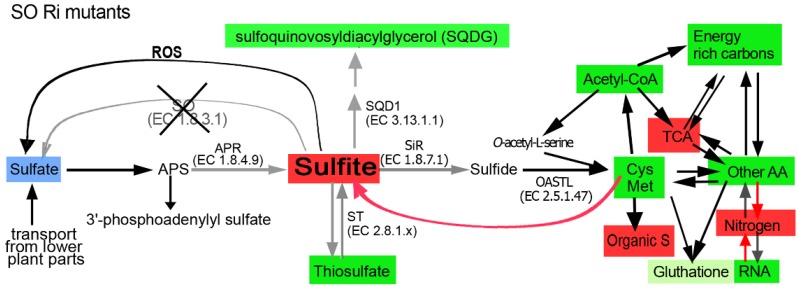 Figure 8