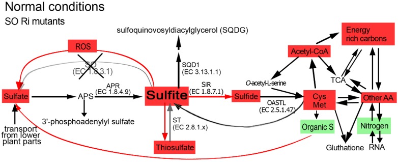 Figure 7