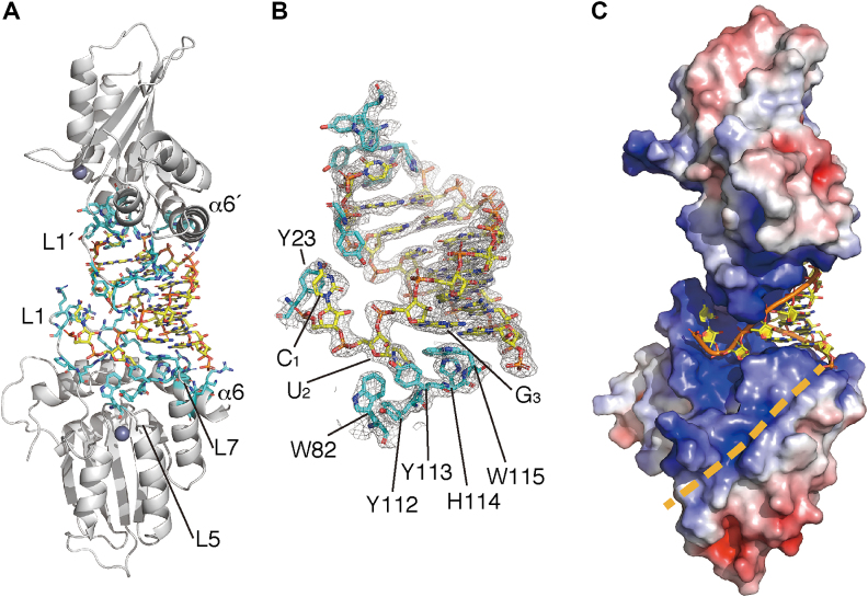 Figure 3.