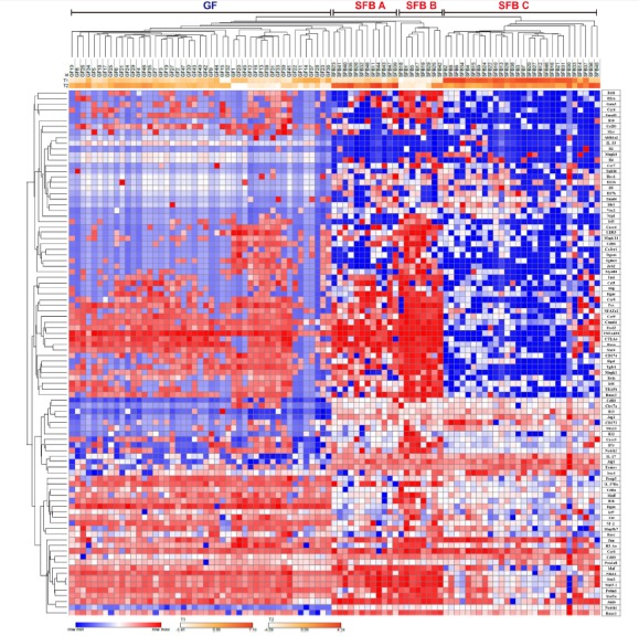 Fig. 2