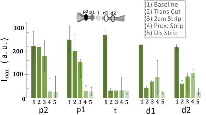 Fig. 4.