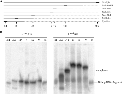 FIG. 6.