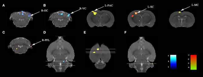 Figure 6