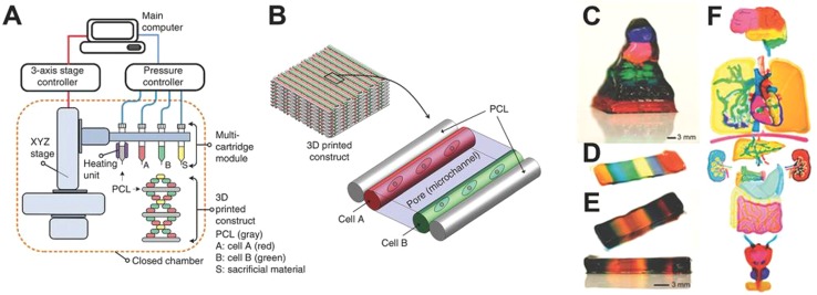 Figure 5