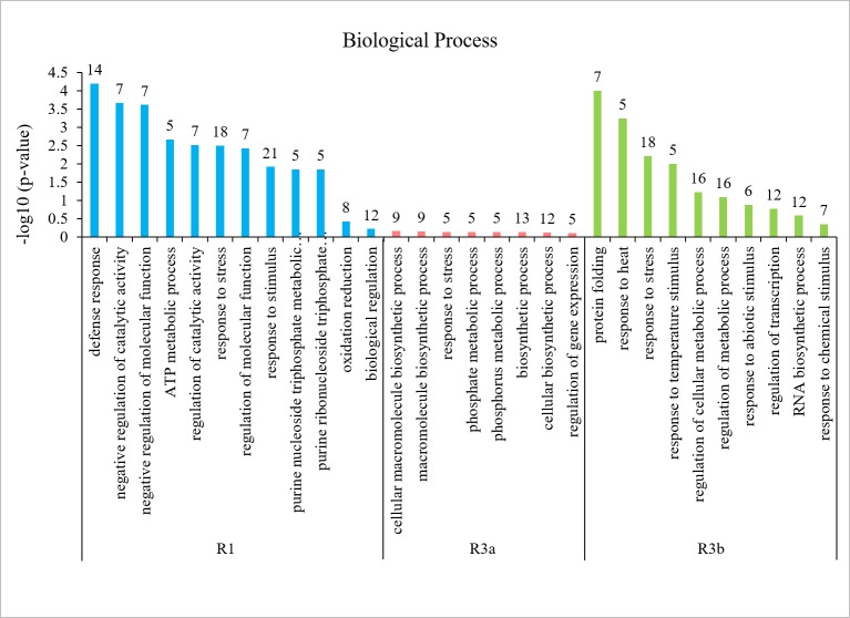 Figure 13