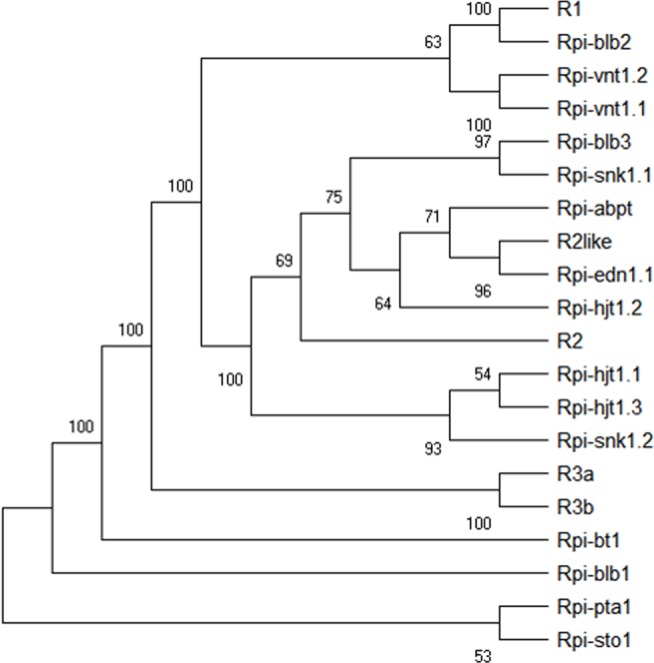 Figure 14