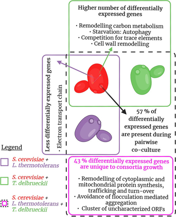 FIG 2