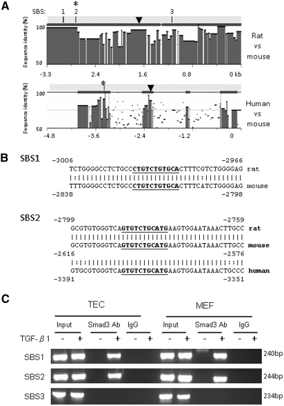 Figure 6.