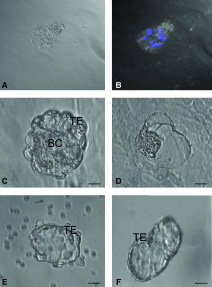 FIG. 5.