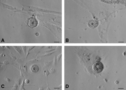 FIG. 8.