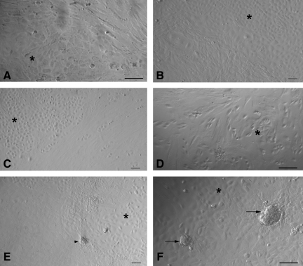 FIG. 7.