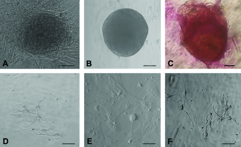 FIG. 6.