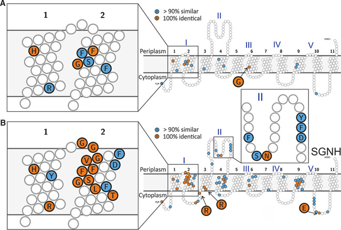 FIG 2