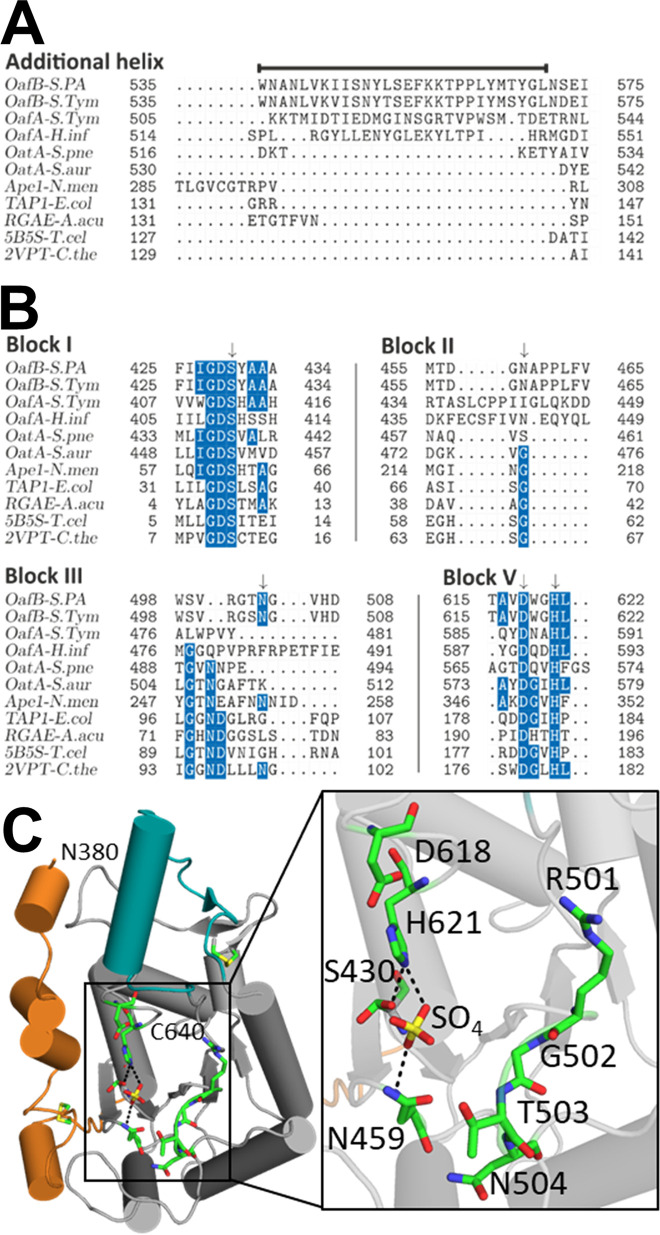 FIG 6