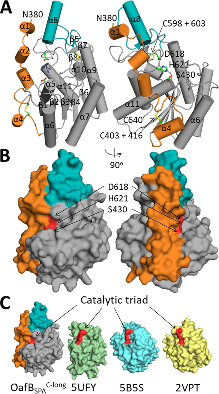 FIG 5