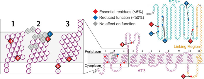 FIG 4