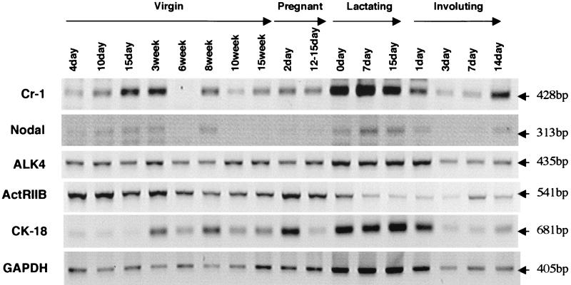 FIG. 5.