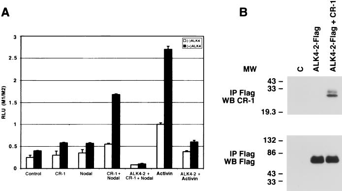 FIG. 4.