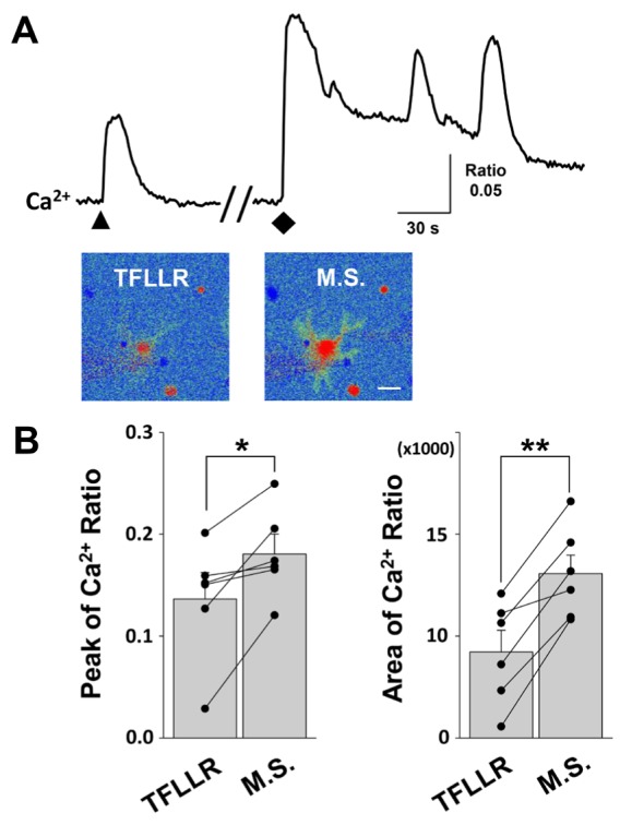 Fig. 3