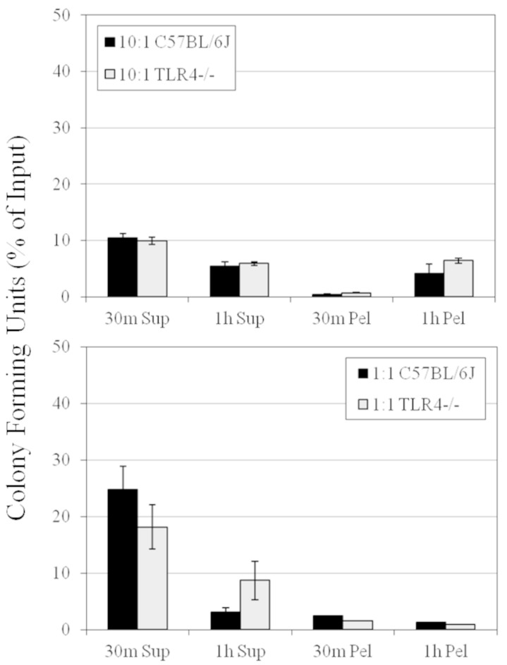 FIG 11