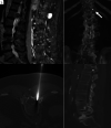 FIG 2.