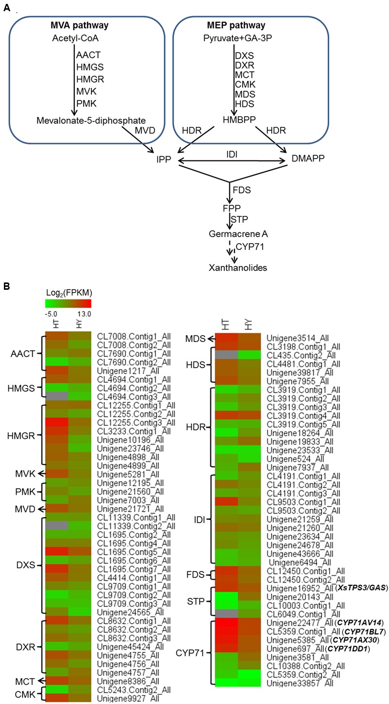 FIGURE 3