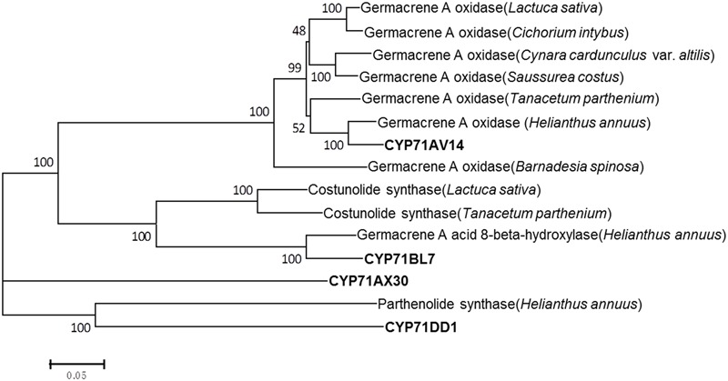 FIGURE 5