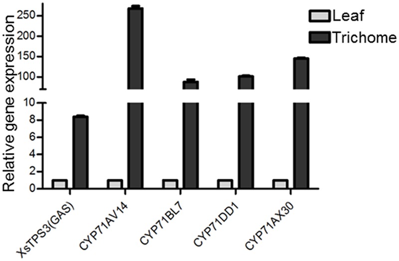 FIGURE 4