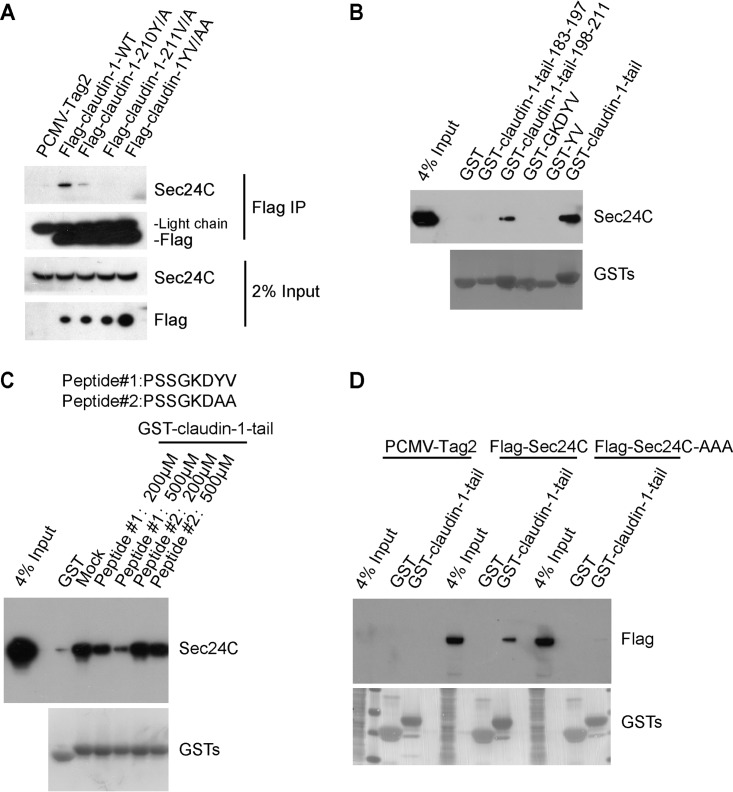 FIG 6