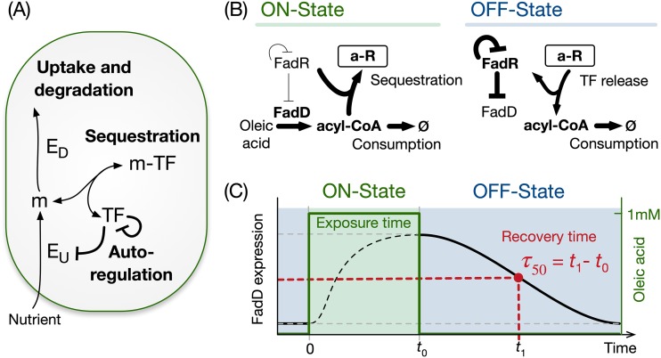 FIG 1