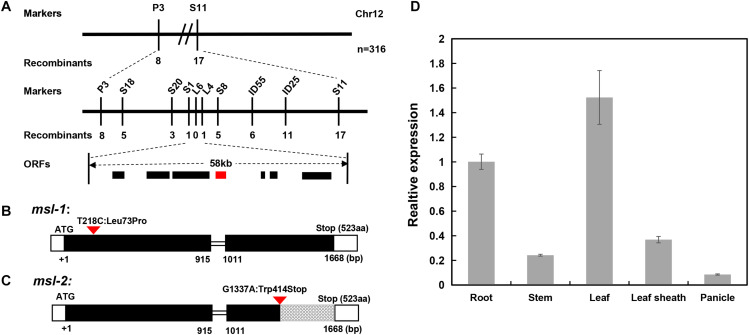 FIGURE 4