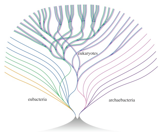 Figure 5.