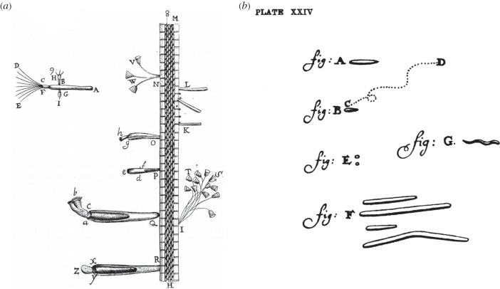 Figure 3.