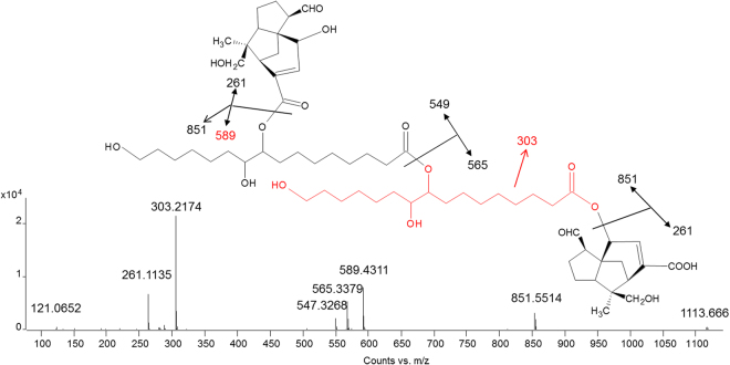 Figure 7