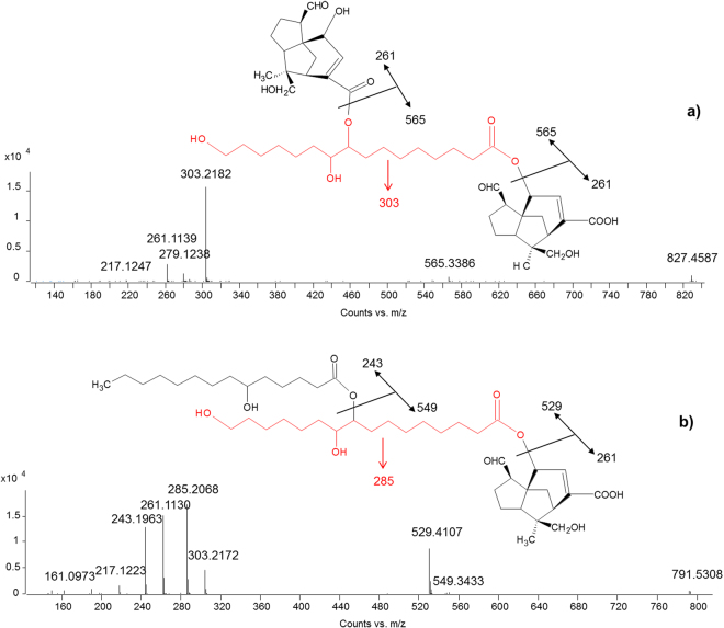 Figure 6