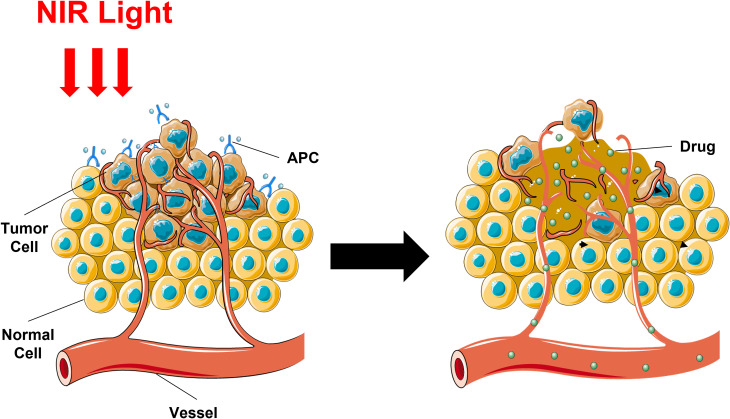 Figure 3.