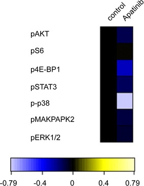 Fig. 5