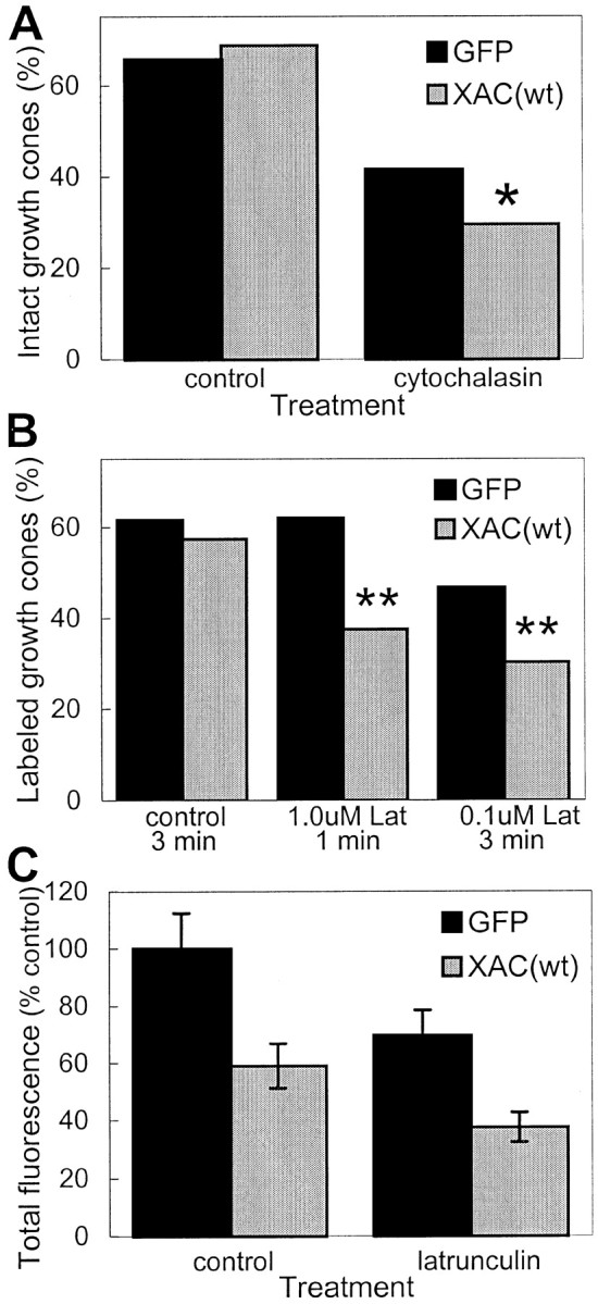 Fig. 10.