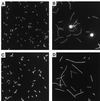 FIG. 4