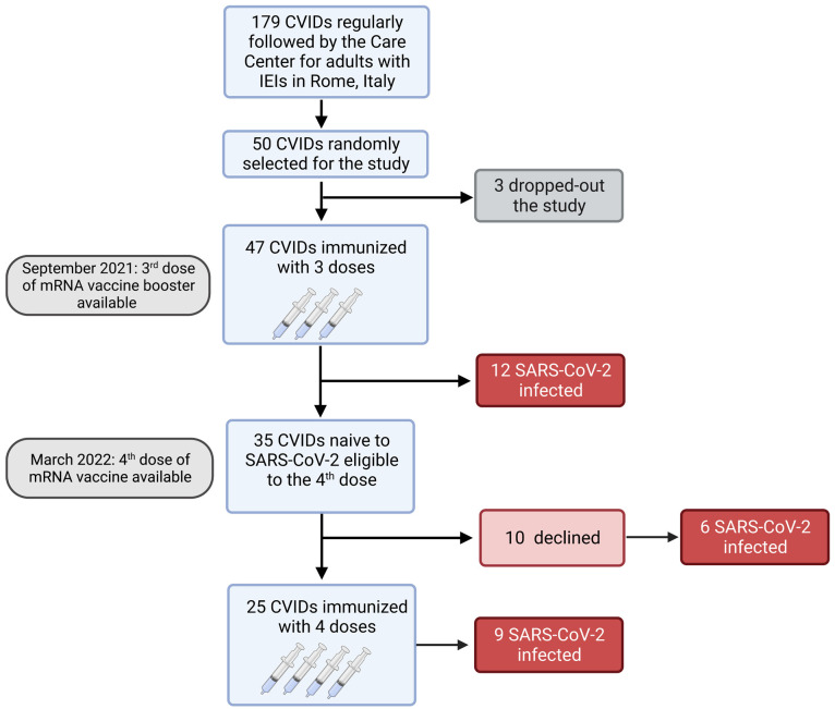 Figure 1