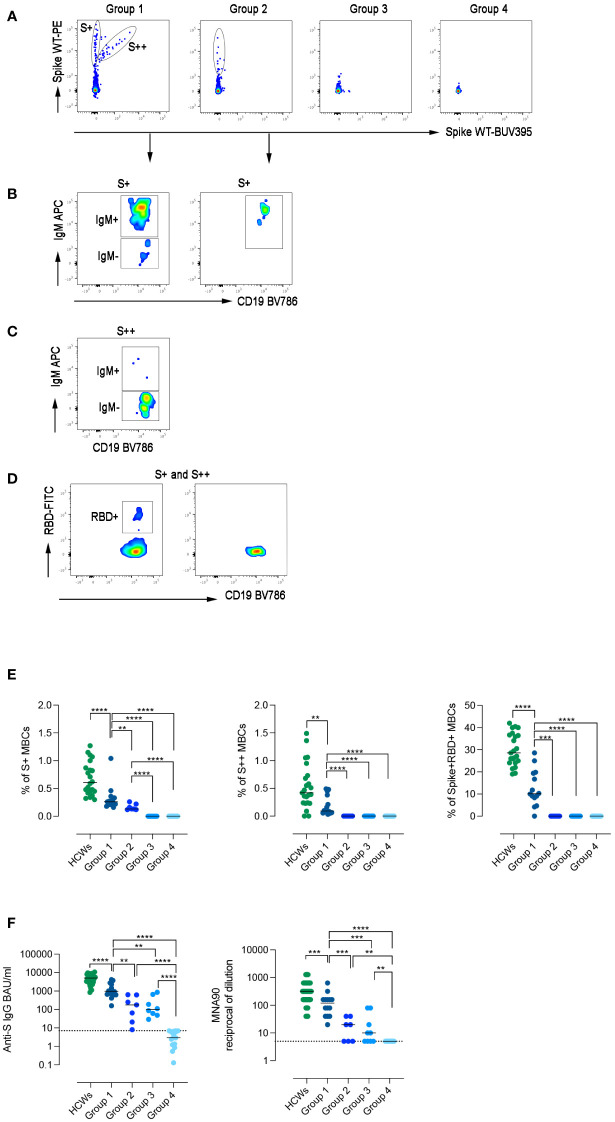 Figure 3