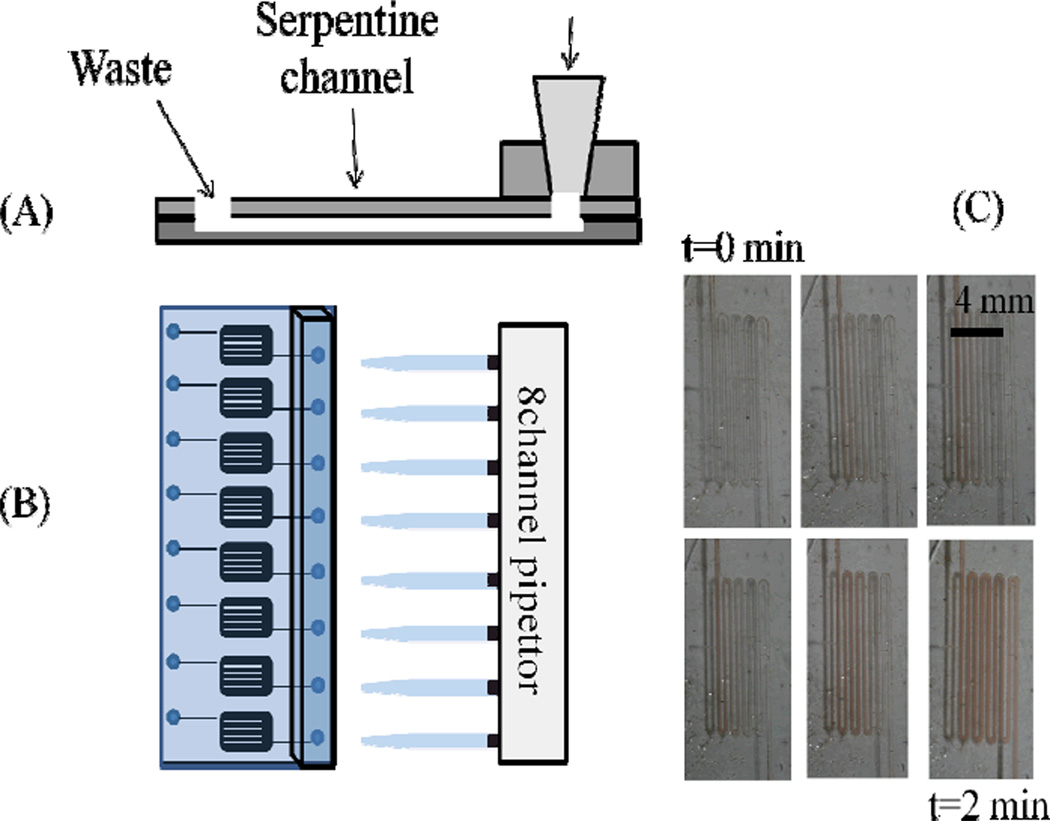 Fig. 2