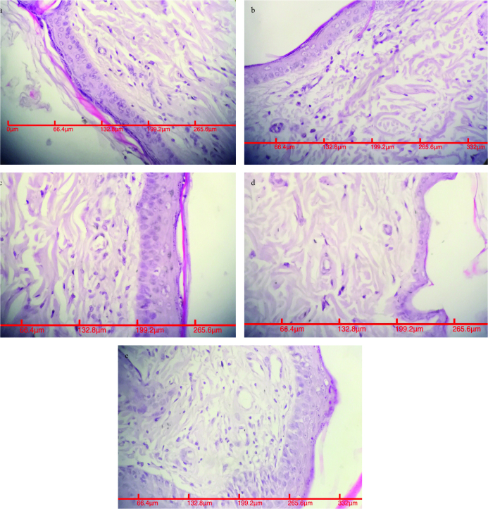 FIG. 6