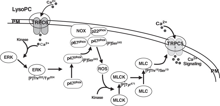 Fig. 9.