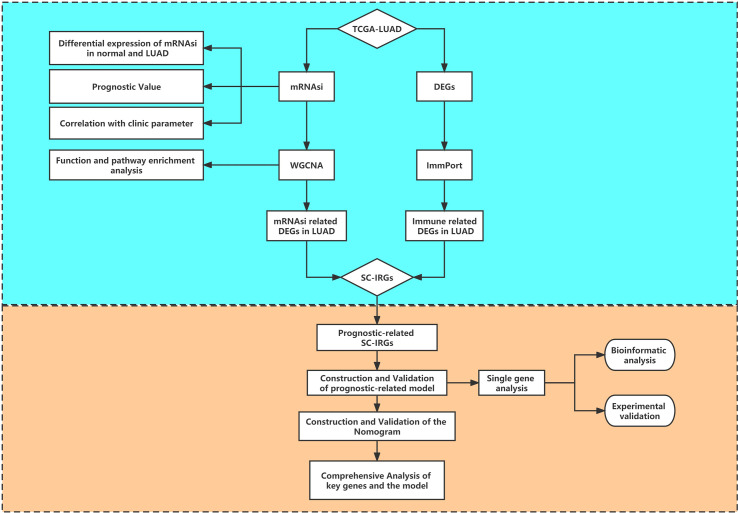 Figure 1